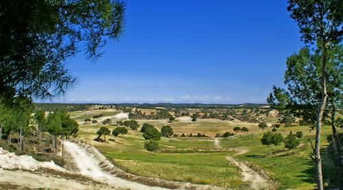 House in Alicante - Image 3