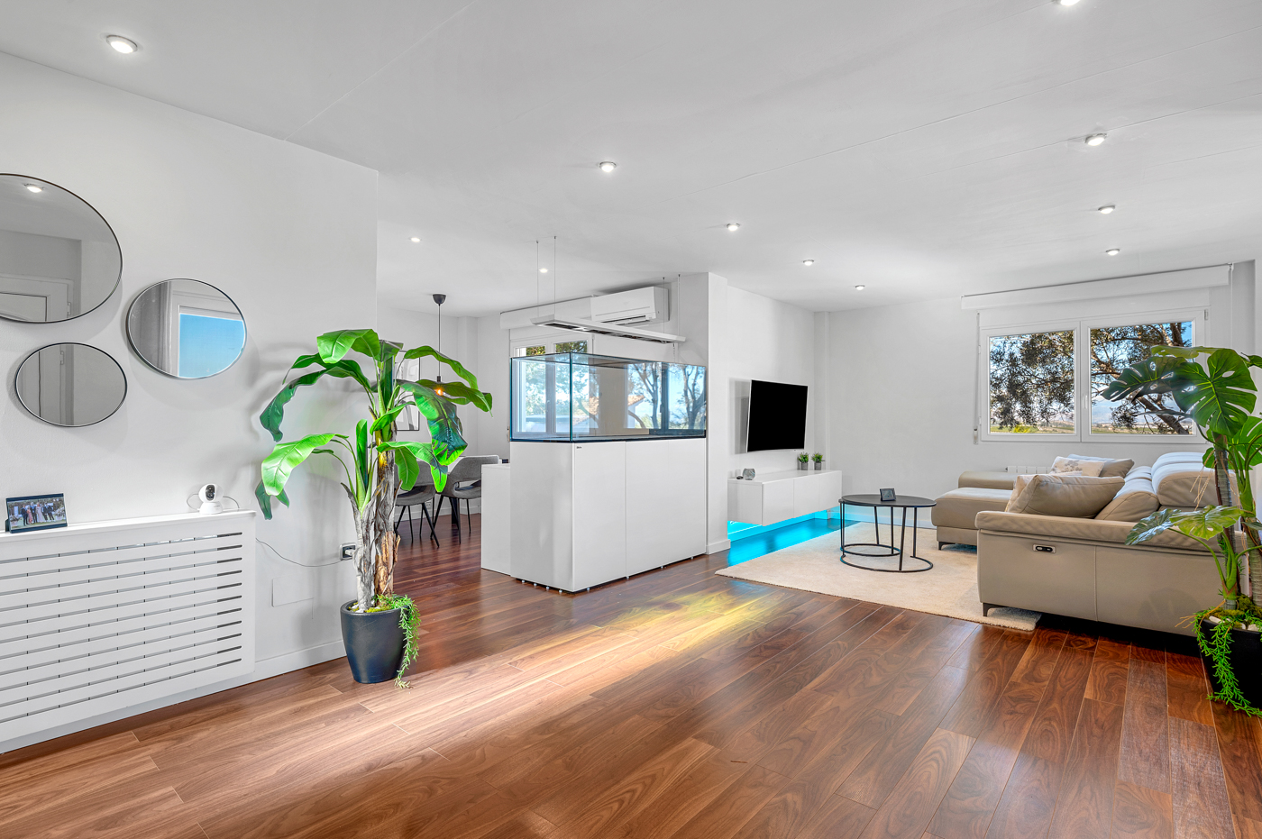 House in San Miguel de Salinas - Image 3