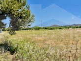  · Country Property Rojales