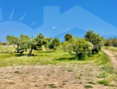  · Country Property Rojales