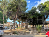  · D Torrevieja · playa de los naufragos