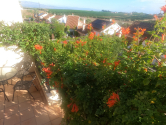 Re-Sale · Bungalow Algorfa · La finca Golf