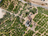  · F Orihuela