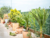 Venta · Detached Villa Calasparra · Urba Coto Riñales