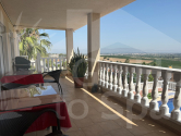  · V Algorfa · Lomas de Juliana