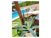 Re-Sale · Villa / Detached Ciudad Quesada · Quesada Center