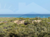 Re-Sale · Apartment Guardamar de Segura · Guardamar del Segura