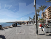  · F Torrevieja · Paseo maritimo