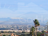  · V Algorfa · Lomas de Juliana