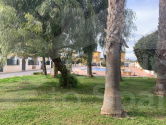 Re-Sale · Detached House / Villa Guardamar del Segura · EL RASO