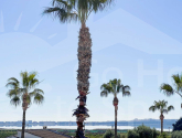 Re-Sale · Detached Villa Ciudad Quesada · Ciudad Quesada - Doña Pepa