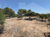 Re-Sale · Finca / Country Property Torrellano