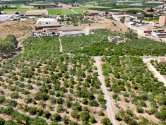  · F Orihuela