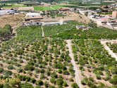  · F Orihuela