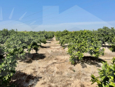 Re-Sale · Finca / Country Property Guardamar de Segura · Guardamar