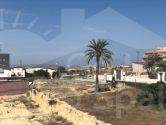  · T San Miguel de Salinas · Costa Blanca Sur