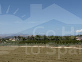 Venta · Finca / Country Property Catral