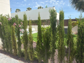 Venta · Detached Villa Algorfa · La finca Golf