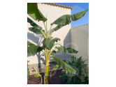 Re-Sale · Villa / Detached Ciudad Quesada · Quesada Center