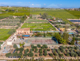 Venta · Finca / Country Property Los Montesinos