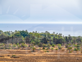  · A Orihuela Costa · Punta Prima