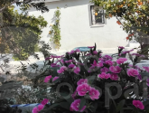 Re-Sale · Detached Villa Ciudad Quesada