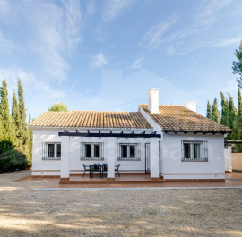 Detached Villa - New Build - Murcia - Fuente Álamo