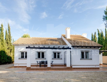 Detached Villa - Nueva construcción  - Murcia - Fuente Álamo