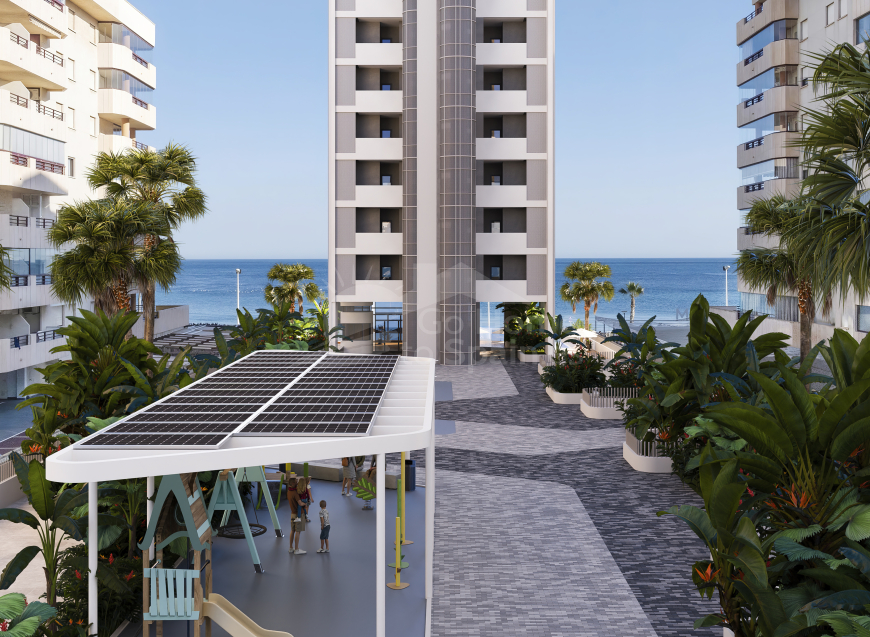  · D Calpe (Alicante) · Spain