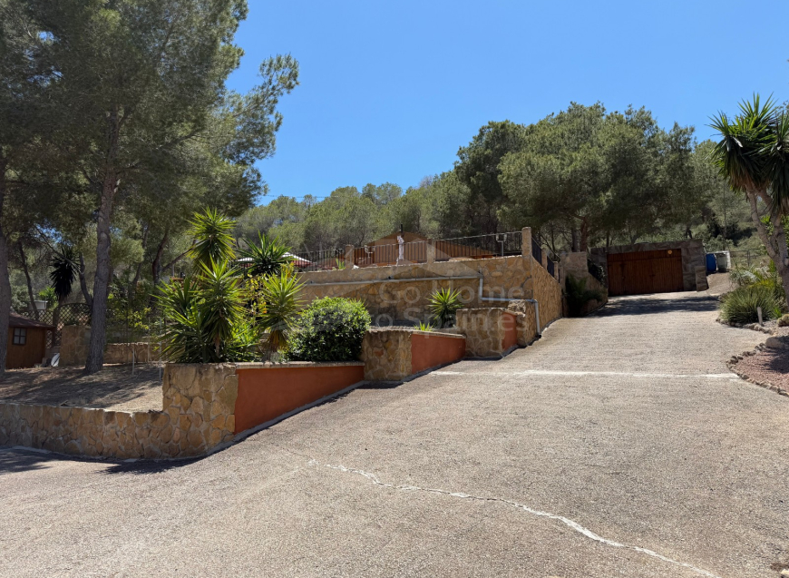  · C Orihuela · Torremendo