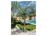 Re-Sale · Villa / Detached Ciudad Quesada · Quesada Center
