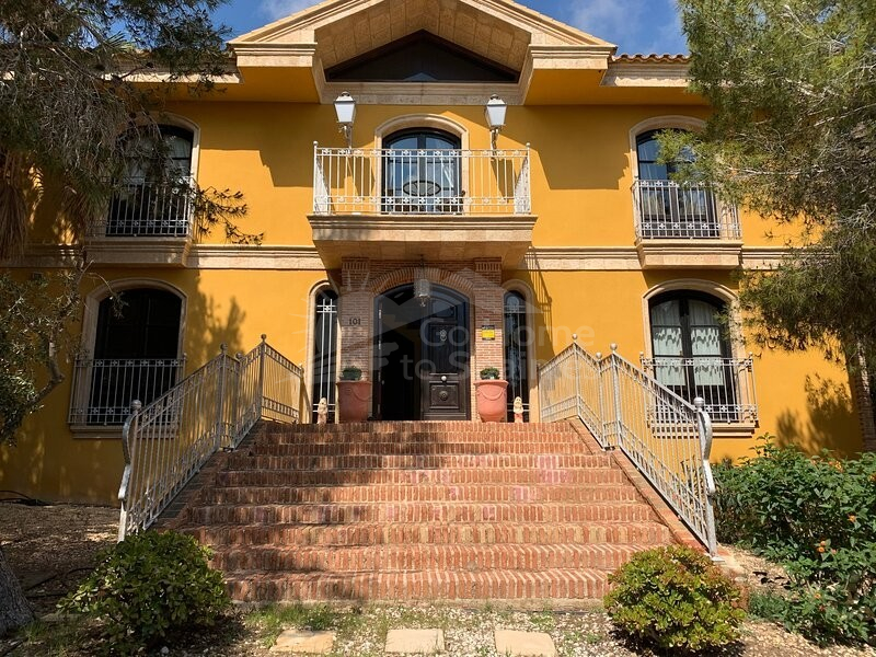  · V Rojales · Ciudad Quesada