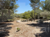  · C Orihuela · Torremendo
