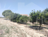 Venta · Finca / Country Property Rojales · Cuidad Quesada