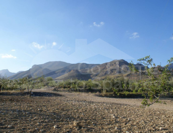 Parcela/Terreno - Venta - Murcia - Murcia