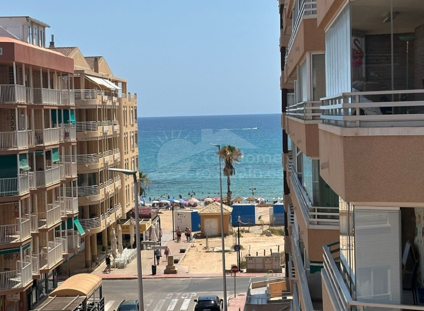 New Build · Penthouse Torrevieja · Torrelamata - La Mata