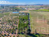 Re-Sale · Finca / Country Property Los Montesinos