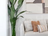 New Build · Apartment Torre de la Horadada · Playas