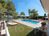Venta · Detached Villa Aspe