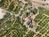  · F Orihuela