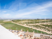 Nueva construcción  · Detached Villa Algorfa