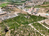  · F Orihuela