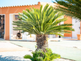 Venta · Finca Dolores