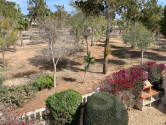 Re-Sale · Detached House / Villa Guardamar del Segura · Guardamar - El Raso