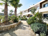 New Build · Apartment Torrevieja · Costa Blanca