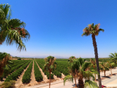 Venta · Semi-Detached Villa Algorfa · La finca Golf