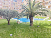  · A Torrevieja