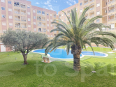  · A Torrevieja