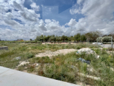 Nueva construcción  · Detached Villa Daya Nueva
