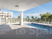  · S Pulpí (Almería) · Spain